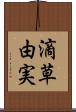 滴草由実 Scroll