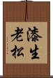 漆生老松 Scroll