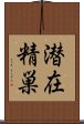 潜在精巣 Scroll