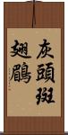 灰頭斑翅鶥 Scroll
