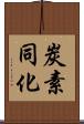 炭素同化 Scroll