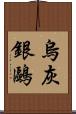 烏灰銀鷗 Scroll