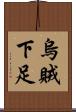 烏賊下足 Scroll