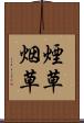 煙草 Scroll