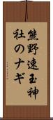 熊野速玉神社のナギ Scroll