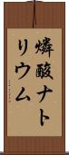 燐酸ナトリウム Scroll