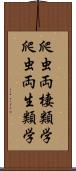 爬虫両棲類学 Scroll