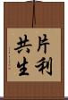 片利共生 Scroll