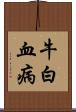 牛白血病 Scroll