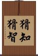 猾知 Scroll