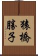 猿橋勝子 Scroll