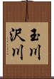 玉川沢川 Scroll