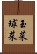 玉菜 Scroll