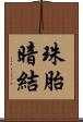 珠胎暗結 Scroll