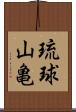 琉球山亀 Scroll