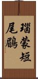 瑙蒙短尾鶥 Scroll