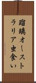 瑠璃オーストラリア虫食い Scroll