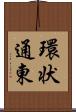 環状通東 Scroll