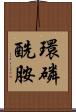 環磷酰胺 Scroll