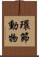 環節動物 Scroll