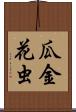 瓜金花虫 Scroll