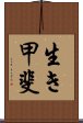 Ikigai Scroll