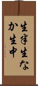 生半 Scroll