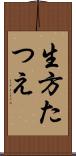 生方たつえ Scroll
