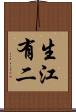 生江有二 Scroll