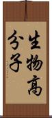 生物高分子 Scroll