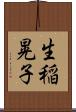 生稲晃子 Scroll