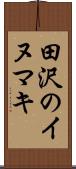 田沢のイヌマキ Scroll
