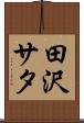 田沢サタ Scroll