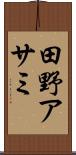 田野アサミ Scroll