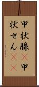 甲状腺(P) Scroll