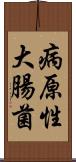 病原性大腸菌 Scroll