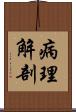 病理解剖 Scroll