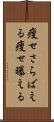 痩せさらばえる Scroll