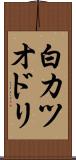 白カツオドリ Scroll