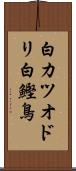 白カツオドリ Scroll