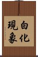 白化現象 Scroll