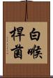白喉桿菌 Scroll