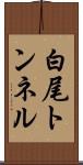白尾トンネル Scroll