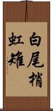 白尾梢虹雉 Scroll