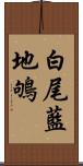 白尾藍地鴝 Scroll