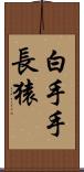 白手手長猿 Scroll