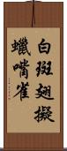 白斑翅擬蠟嘴雀 Scroll