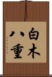白木八重 Scroll