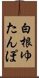 白根ゆたんぽ Scroll