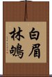 白眉林鴝 Scroll